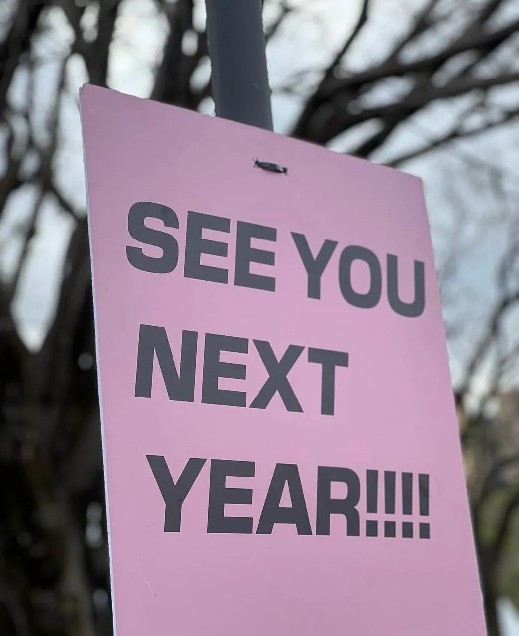 A pink sign at the race route reading See You Next Year hung on a post among bare trees
